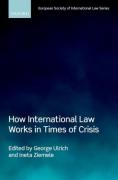 Cover of How International Law Works in Times of Crisis