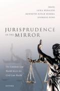 Cover of Jurisprudence in the Mirror The Common Law World Meets the Civil Law World