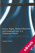 Cover of Human Rights, Natural Resource and Investment Law in a Globalised World: Shades of Grey in the Shadow of the Law (eBook)