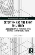 Cover of Detention and the Right to Liberty: Addressing Gaps in Protection at the European Court of Human Rights