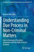 Cover of Understanding Due Process in Non-Criminal Matters