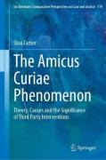 Cover of The Amicus Curiae Phenomenon: Theory, Causes and the Significance of Third Party Interventions