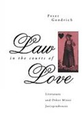 Cover of Law in the Courts of Love: Literature and Other Minor Jurisprudences