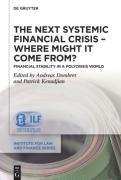 Cover of The Next Systemic Financial Crisis &#8211; Where Might it Come From? Financial Stability in a Polycrisis World